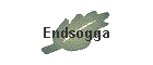 Endsogga