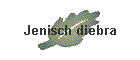 Jenisch diebra